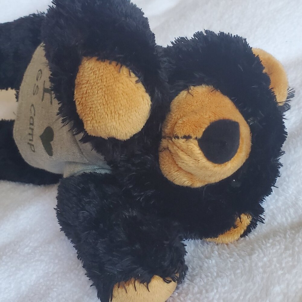Girl Scouts camp bear stuff animal